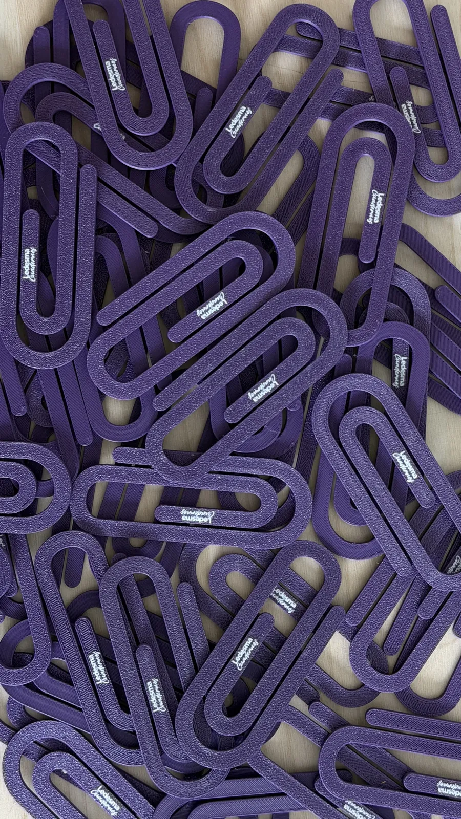 Clips personalizados Ledesma