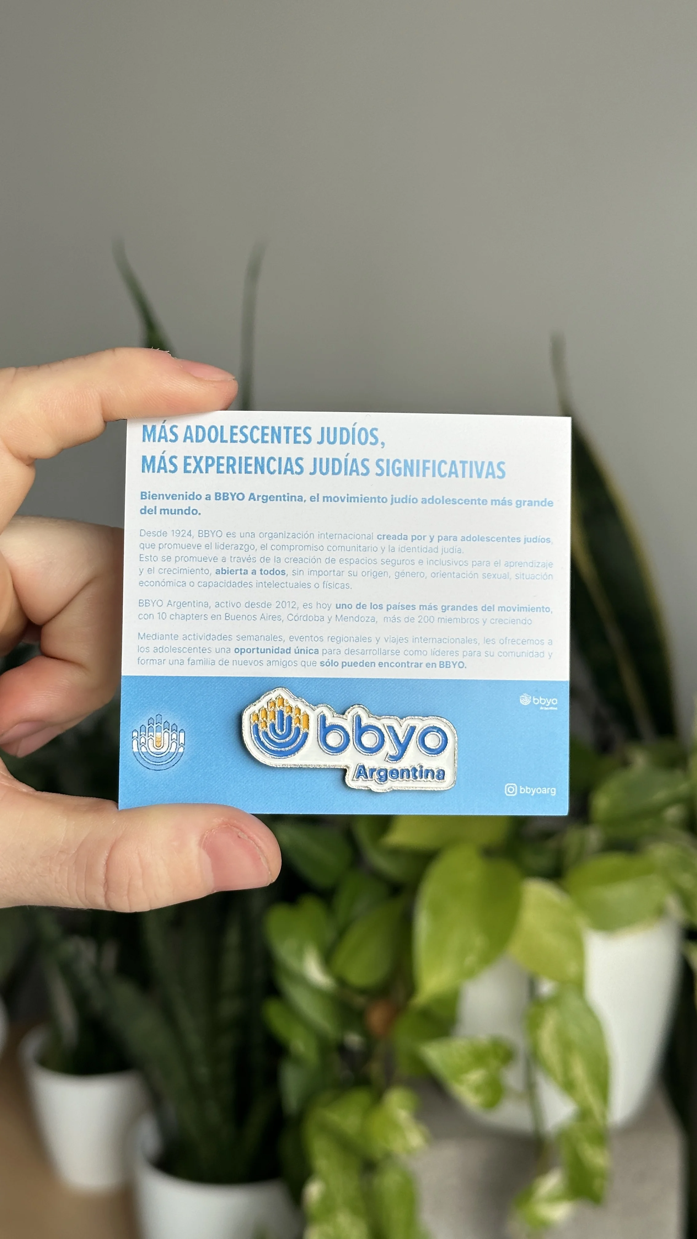 Pin metálico BBYO